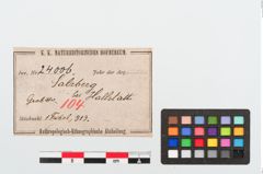 Etikett zu Bronzebrillenfibel (NHMW-PRAE-024006)